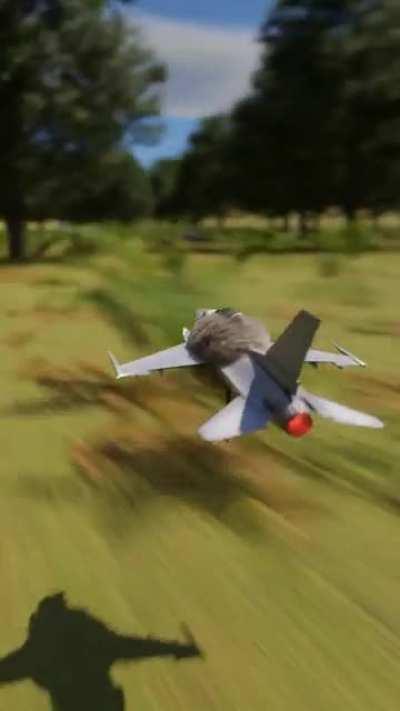 For Your Consideration: South Island Kōkako, Bird of the Year