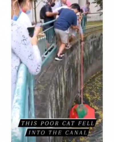 Humans working together to rescue a cat struggling in a canal