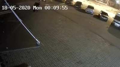 Russian emotional support bear offers hugs to lonely man