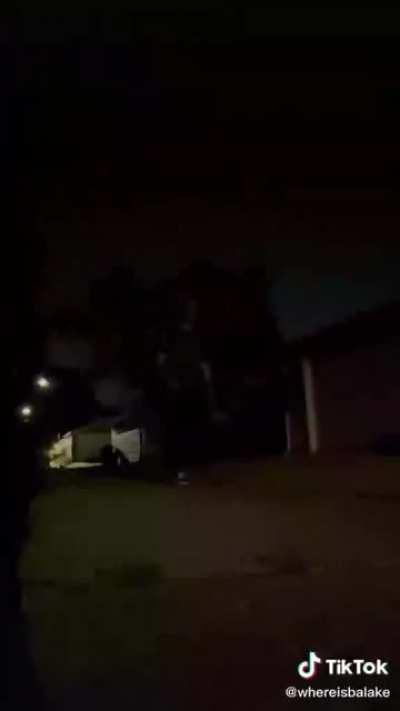 Have Oney and his caretakers Tomar and Lyle seen this? They reference the original so much I bet they would cry watching this.