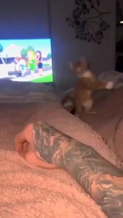 کسشر میم پارت اول