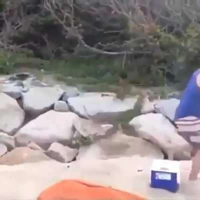 Quick and easy to set up!