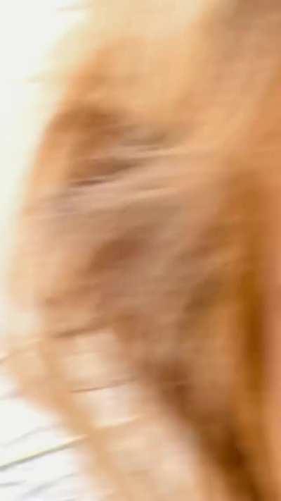 we love it too Bebe!