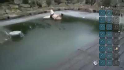 Using Ice Skates be like: