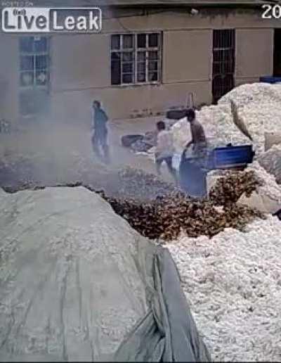 how stupid can you be