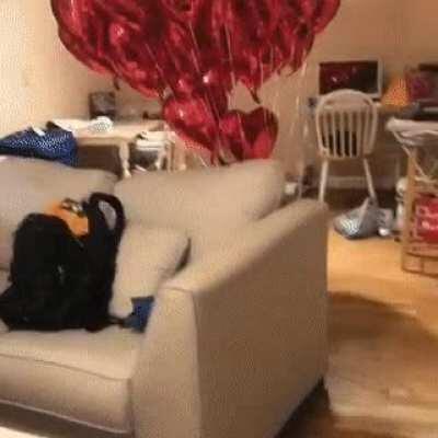 Happy Valentines Day!!