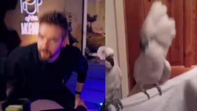 Ima need this as a gif thank you 😅