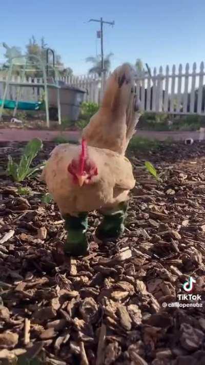 I’m obsessed with this video