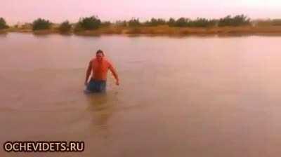 Miracle!!!! He is walking!!!!!