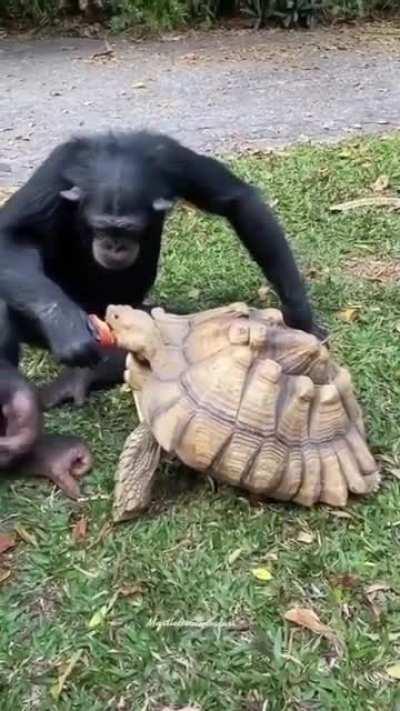 Friends having breakfast