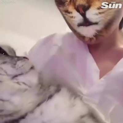 Cat's reaction to the new camera filter...