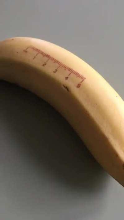 Made a banana for scale.