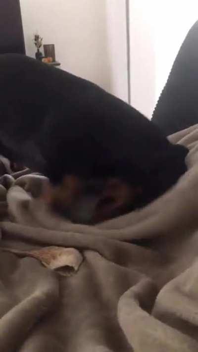 Recharge to unlock crazy-mode !