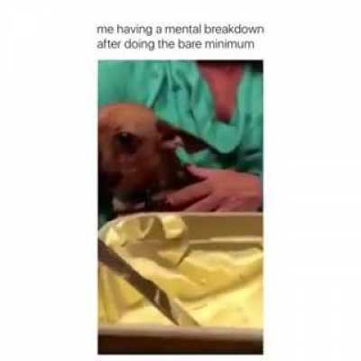 What’s the return policy again?