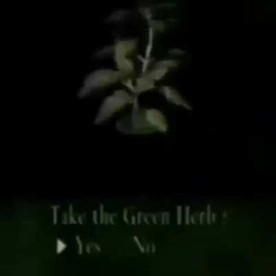 Olha o que aconteceu com o gato 😱😱😱😱😱