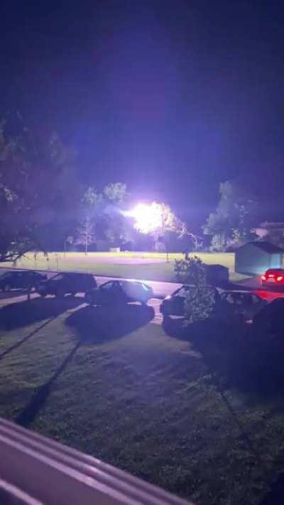 Tree fell on a powerline outside our house the other night.