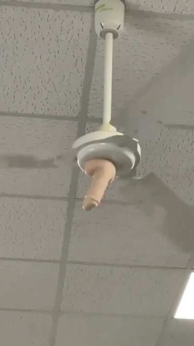 The fertility fan, office sire.