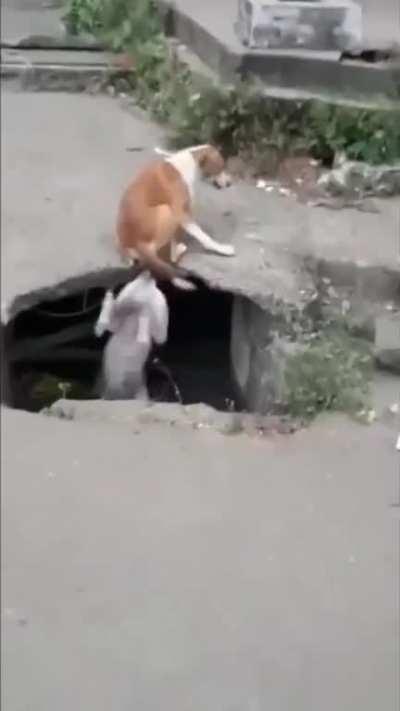 title alag nhi ho skta