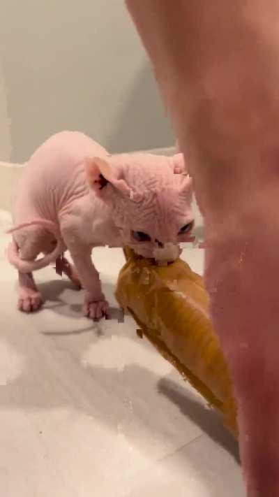 Should I be worried?