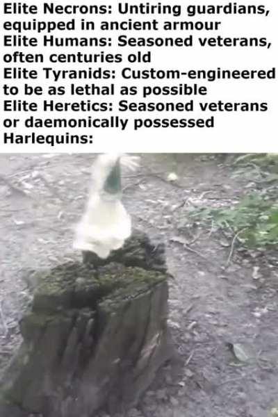 Just some whimsical guys