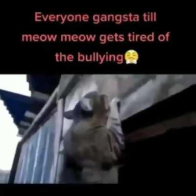 You mess with meow meow.. You get the peow Peow 🔫