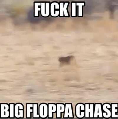 Chase by Floppa