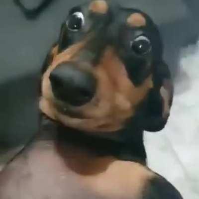 cinemadosmemes - Video #1506