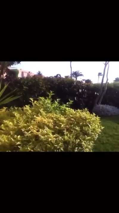 Nostalgia much? Through the lens of an iPod Nano camera