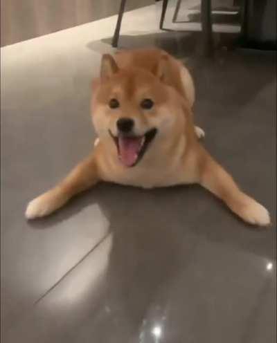 Accurate representation of Dogecoin price the last few weeks