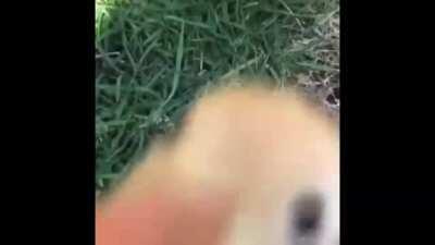 POV: you just healed a demoman