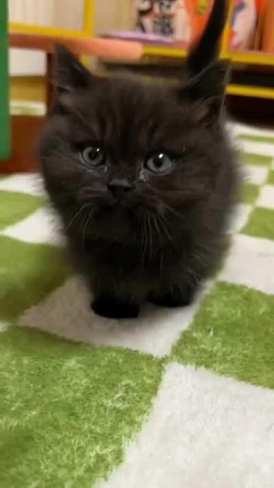 Turn off that awful music already..!