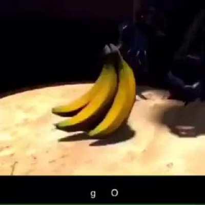 Banana will turn