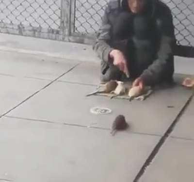 Este es El Flautista de Hamelin