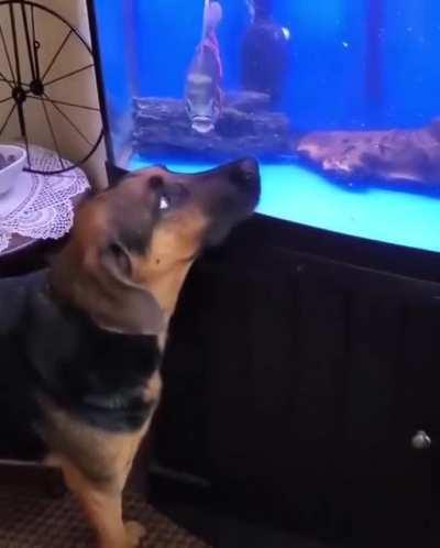 I don't know who you are. I don't know what you want.