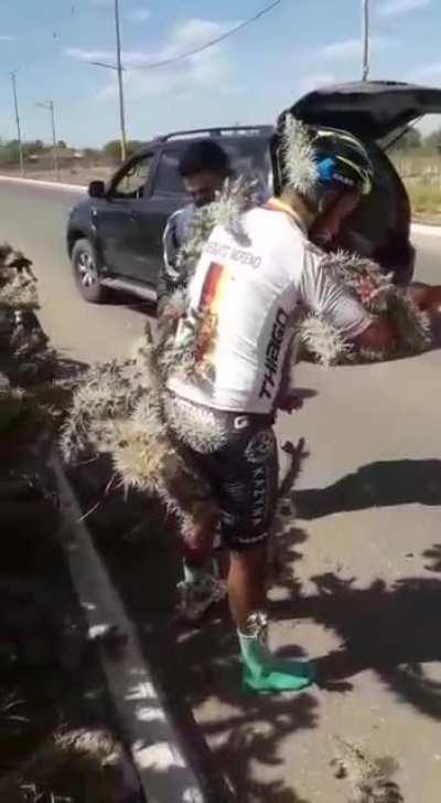 This guy reminds me of Wile E Coyote’s luck with cactuses