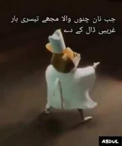 Urdu Pope Francis Rat