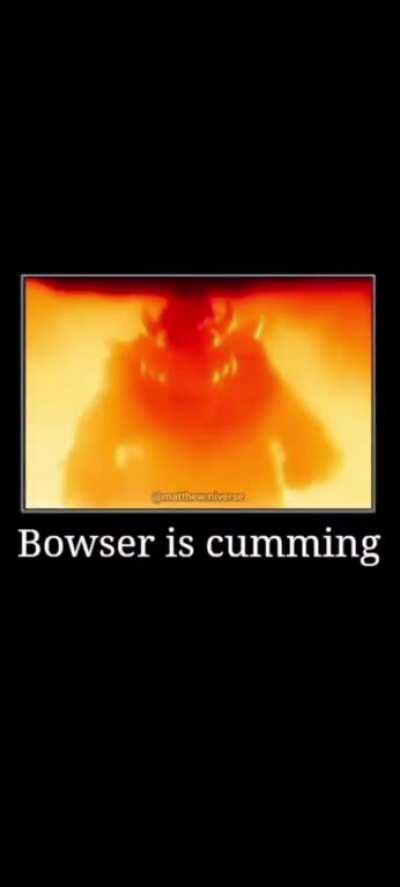 Bowser 🤨