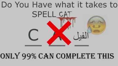 Cat challenge impossible😂😂😂😂