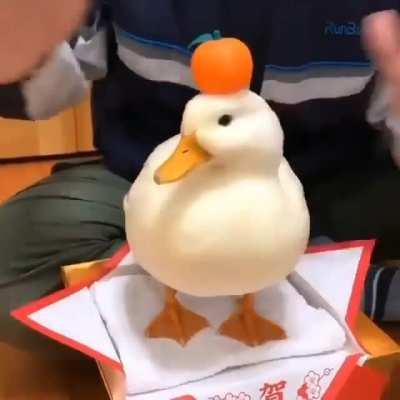 I need a duck now (OC)