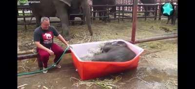 Tollpatschiger kleiner Elefant nimmt kaltes Bad