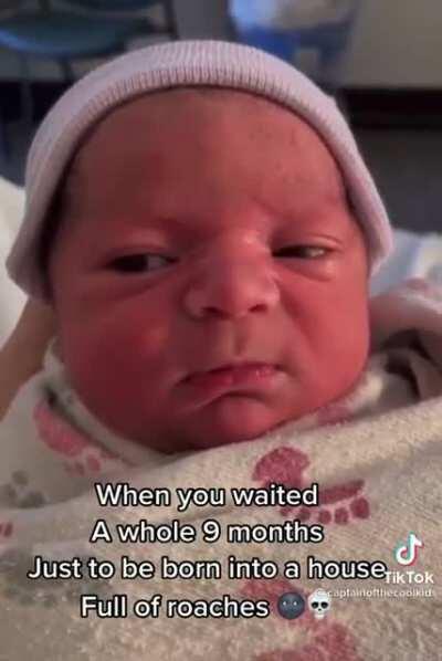 has mastered the look of disgust