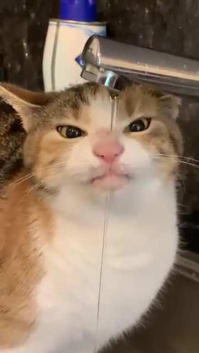 This is my cat, her name is Sock, she’s a little bit…weird