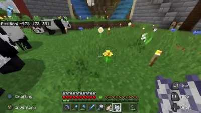 Panda’s really are something - this happened on our realms server