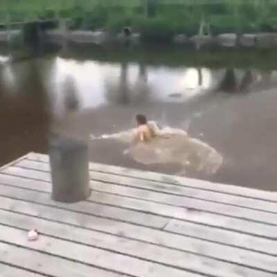 Maybe check the water level first?