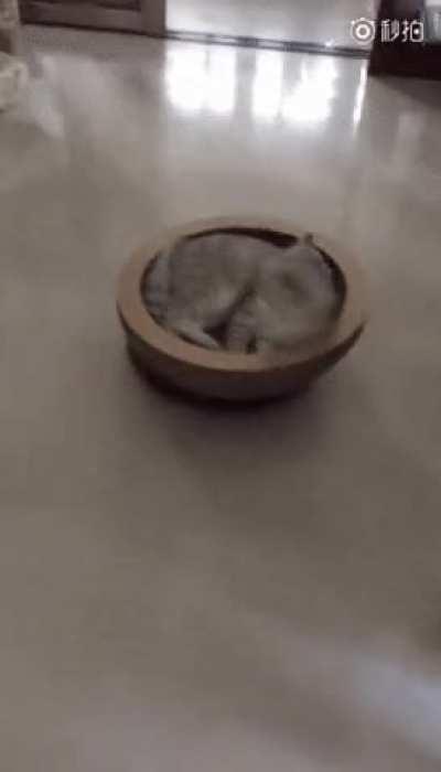 Index out of range. Process lost