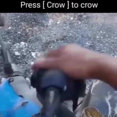 ShdhwhjjduwheYsuiw72r67b338y