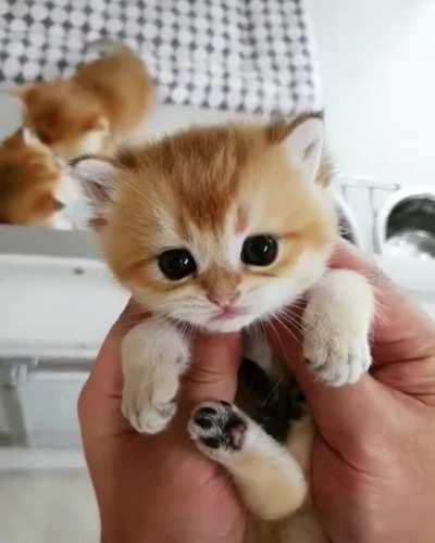 I think my heart just exploded