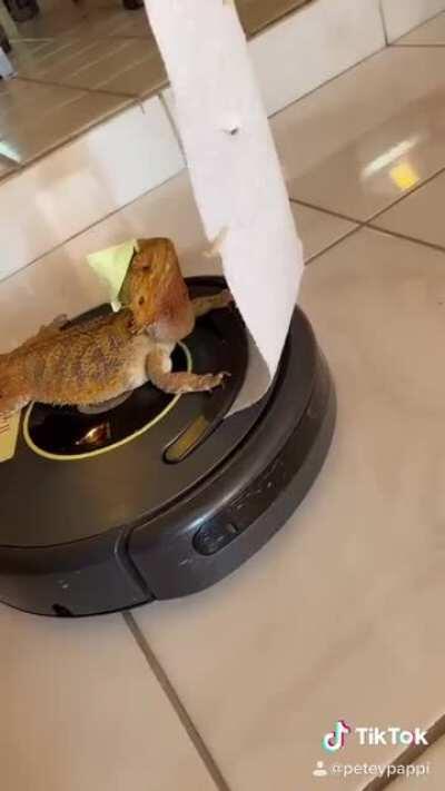 She’s stopped by to bring you all sugar,and tea, and rum.