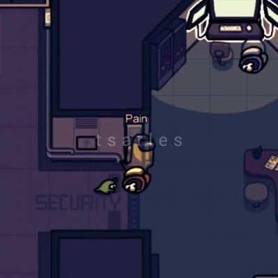 SAD: PET LOVE AMONG US