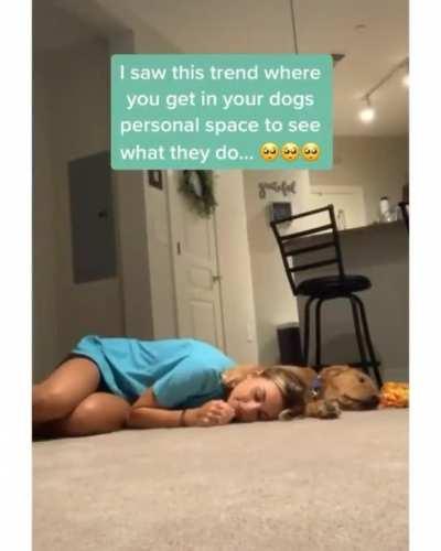 This video made my day